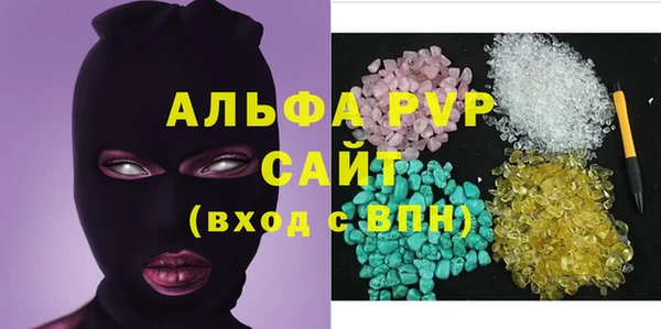 прущие грибы Медвежьегорск