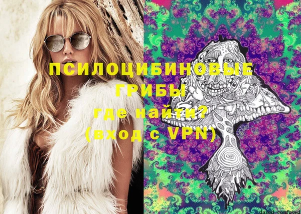 Альфа ПВП Киров