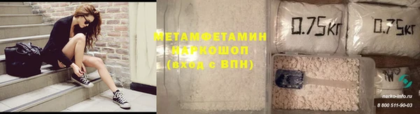 прущие грибы Медвежьегорск
