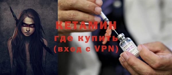 прущие грибы Медвежьегорск