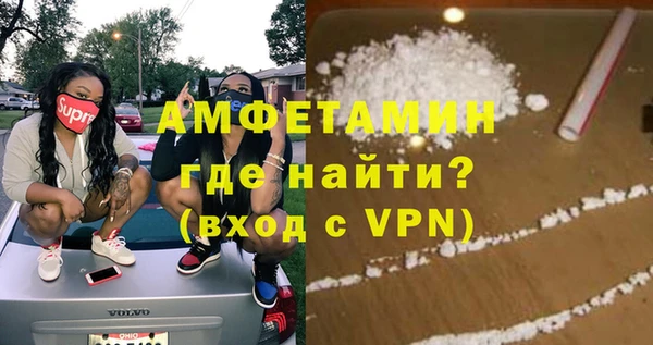 прущие грибы Медвежьегорск