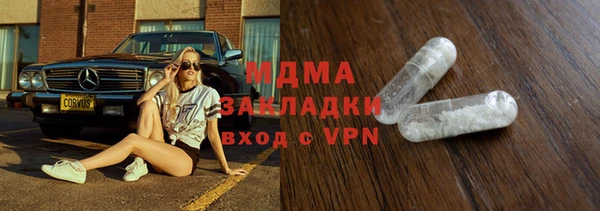 прущие грибы Медвежьегорск