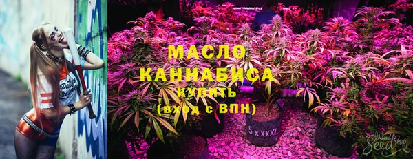 прущие грибы Медвежьегорск