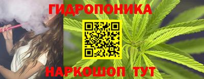 шишки Конаково