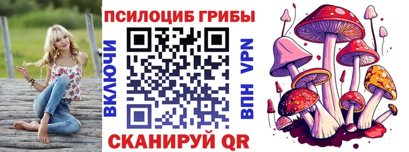 Галлюциногенные грибы Psilocybine cubensis Копейск