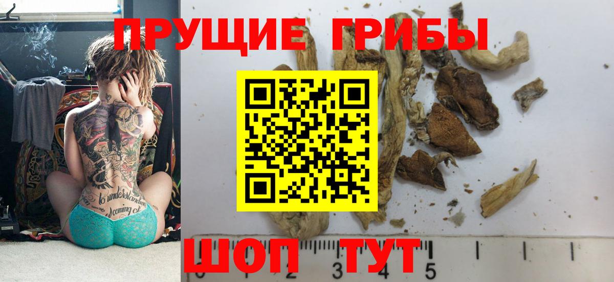 Галлюциногенные грибы Cubensis Копейск