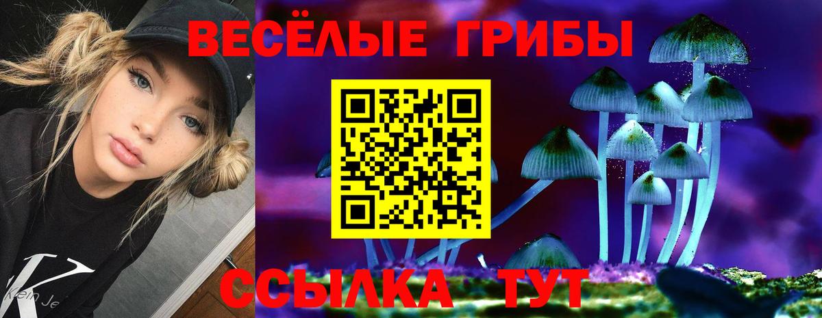 Галлюциногенные грибы GOLDEN TEACHER  Вход с VPN  Копейск 